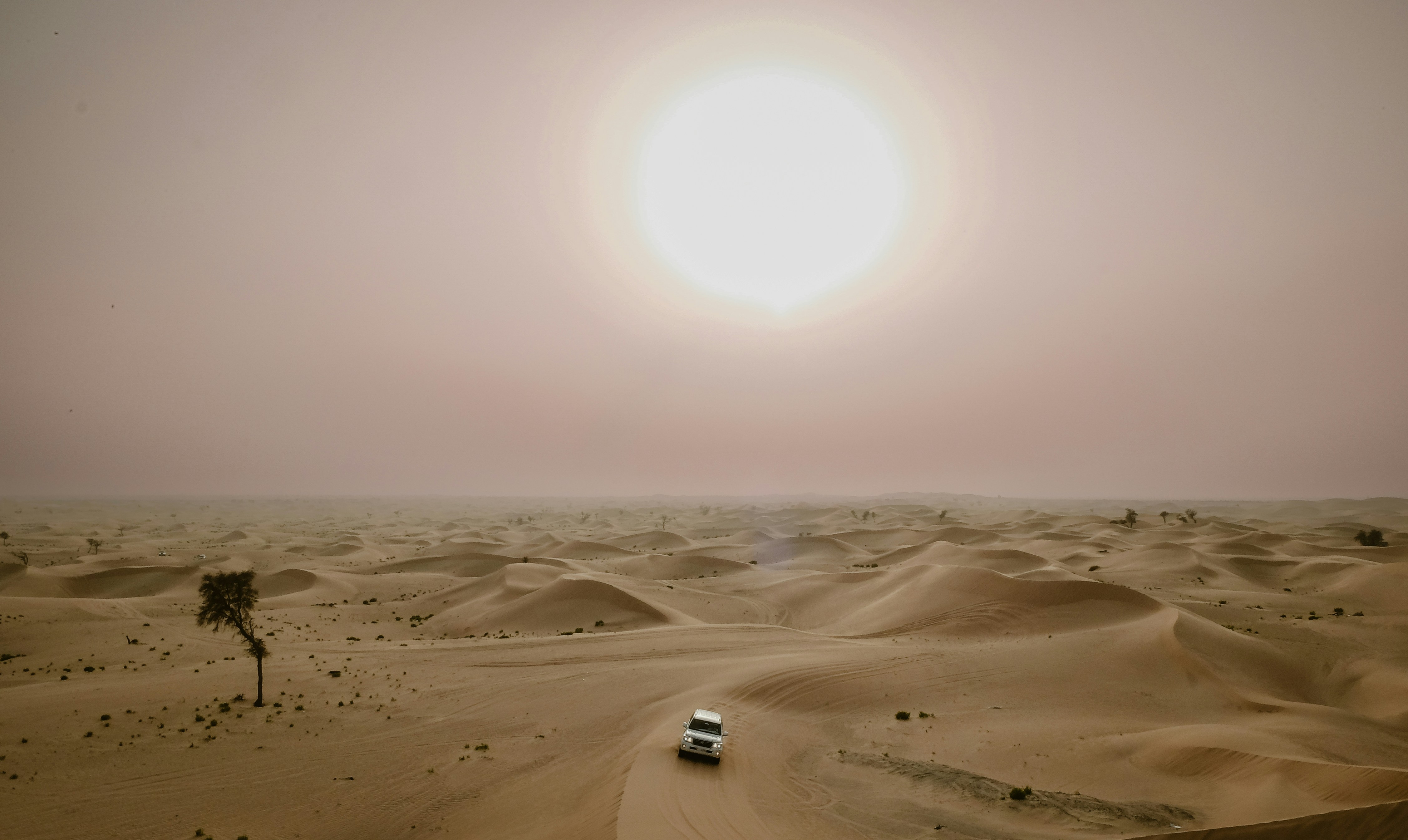 Dunes at golden hour